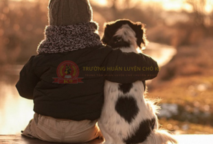 Cách chó thể hiện tình cảm với chủ nhân