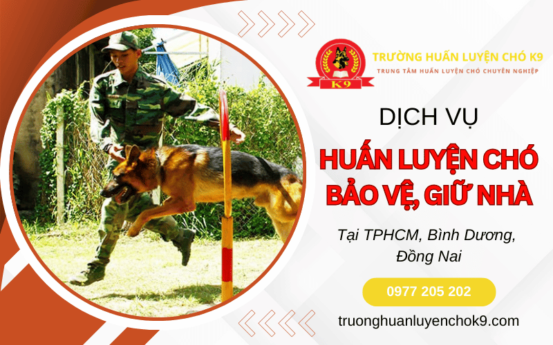 Huấn luyện chó bảo vệ