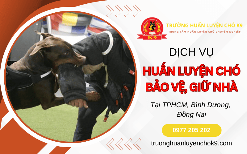 Huấn luyện chó bảo vệ